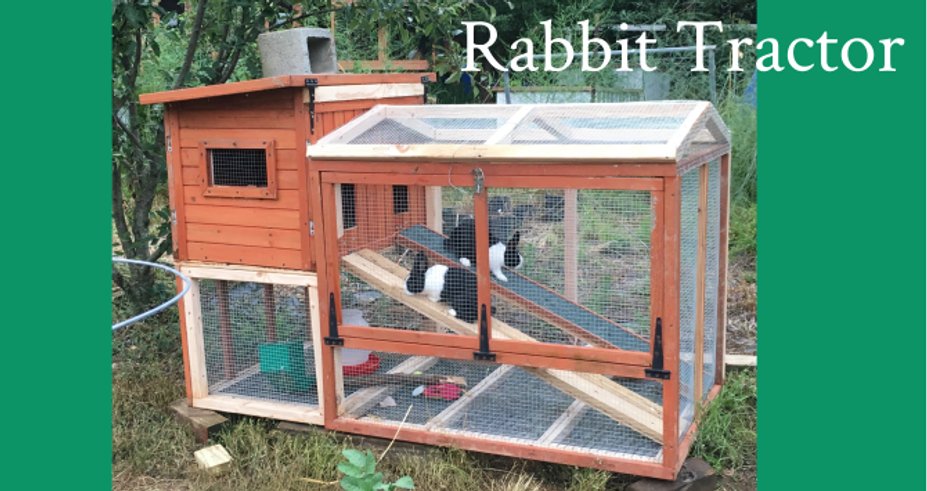 Rabbit Tractor 2018